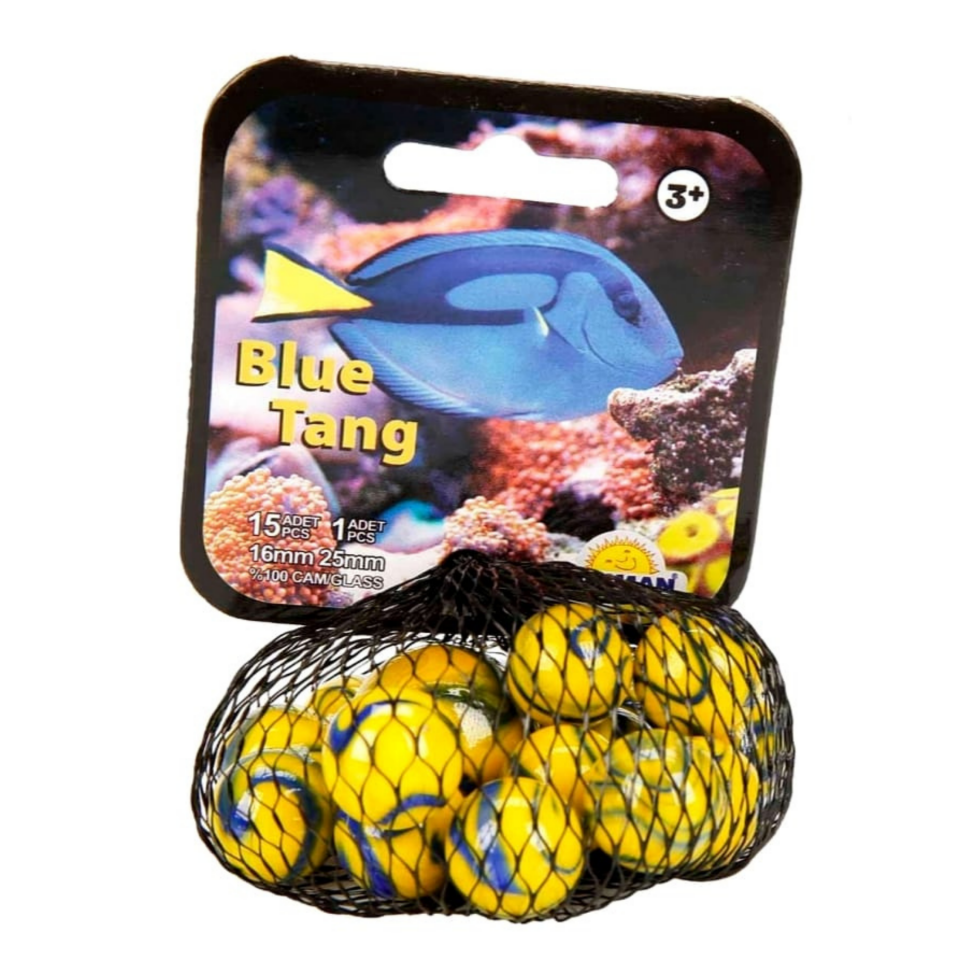 Filede Kaliteli Deniz Hayvanları Misket 1 / BLUE TANG